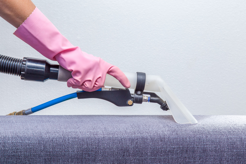 sofa cleaning