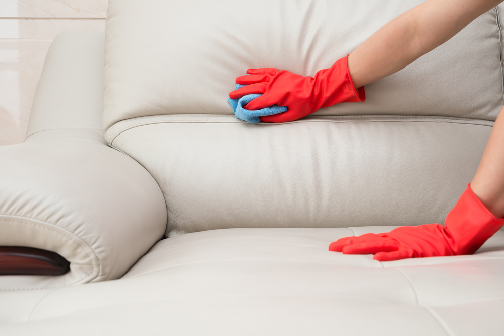 maintain sofa