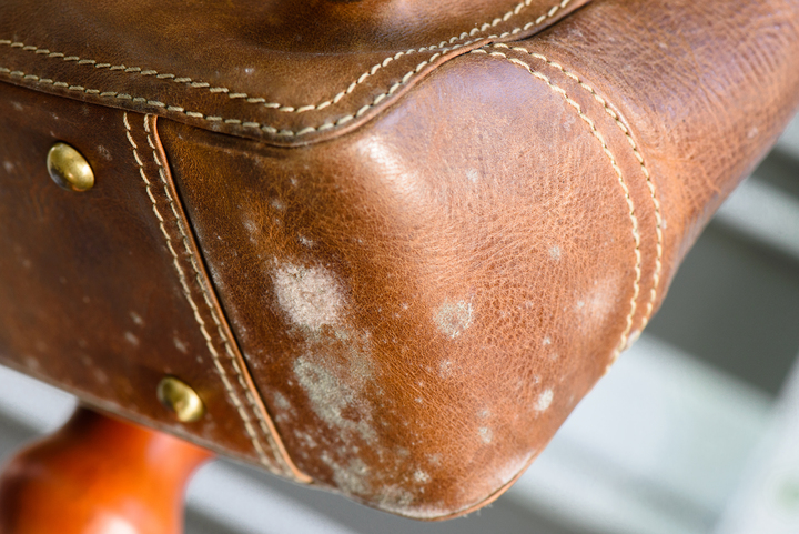A Guide to Leather Care: How to Remove Mould From Leather?